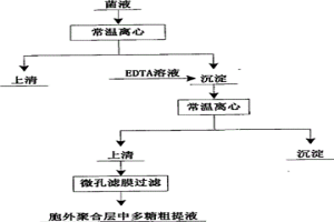 提取细菌胞外聚合层中多糖的方法