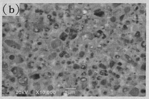 基于(Ti,M)(C,N)固溶体粉的弱芯环结构新型金属陶瓷材料