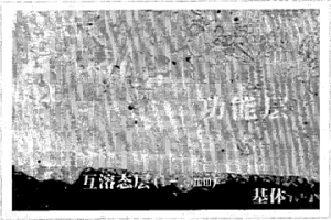 平行双螺杆挤出机用全披覆熔覆性螺纹元件