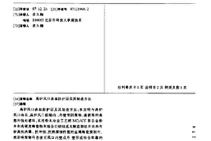 高炉风口表面防护层及其制造方法
