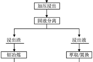 复杂铜钼矿的处理方法