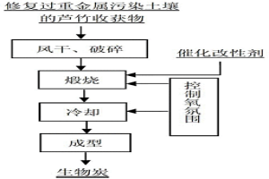 修复过重金属污染土壤的植物芦竹资源化利用的方法