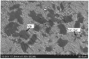 VC-TiC-VB强化铁基复合涂层及其制备方法