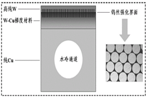 偏滤器模块及其制备方法