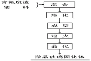 多源含氟废渣微晶玻璃固化体及其制备方法和用途