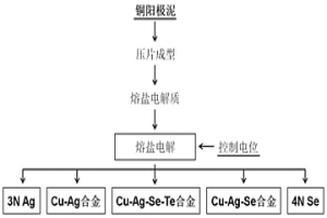 铜阳极泥熔盐电解回收铜银硒碲的方法
