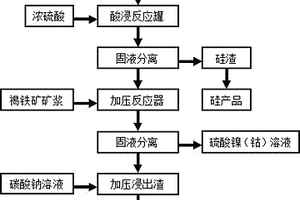 通过联合浸出工艺从红土镍矿中回收镍、钴、铁和硅的方法