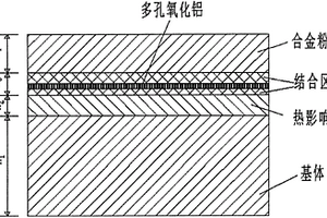 具有合金纤维结构支撑的高强度复合涂层