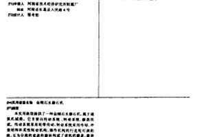 金刚石水磨石机