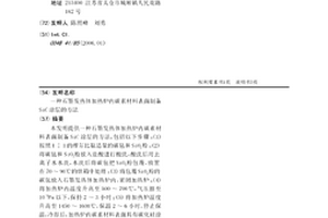石墨发热体加热炉内碳素材料表面制备SiC涂层的方法