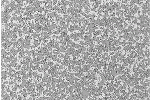 AlSi<sub>20</sub>Fe<sub>5</sub>Ni<sub>2</sub>坯料的制备方法