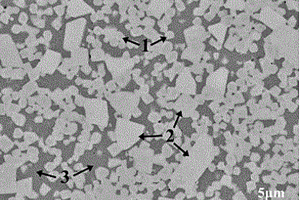 具有双尺度双形态硬质相晶粒的Mo<Sub>2</Sub>FeB<Sub>2</Sub>基金属陶瓷及其制备方法