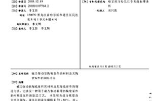 磁力驱动泵陶瓷泵件的材料及其陶瓷泵件的制造方法