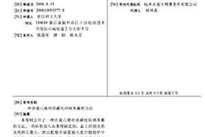 合成六棱柱状碳化硅纳米棒的方法