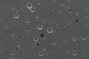 具有球形微孔的碳化硅密封环及其制备方法