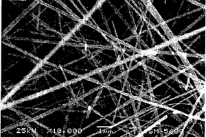 利用稻壳制备微纳米直径碳化硅短纤维和晶须的方法