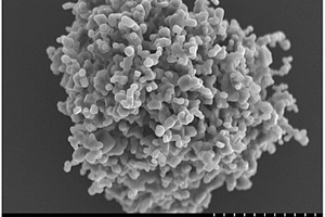 高球形度的碳化硅颗粒的制备方法