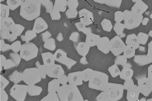 高强韧性Mo<sub>2</sub>FeB<sub>2</sub>基金属陶瓷及其制备方法