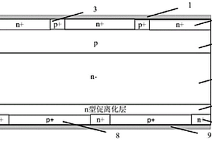 快速离化器件及其制备方法