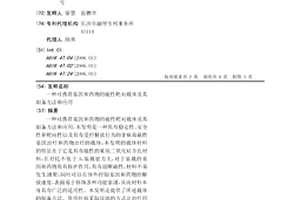 可携带基因和药物的磁性靶向载体及其制备方法和应用