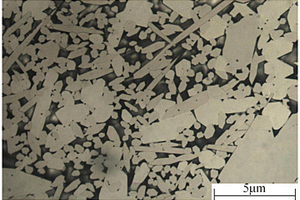 高强度抗腐蚀Cr<Sub>3</Sub>C<Sub>2</Sub>基轻质金属陶瓷合金及其制备方法