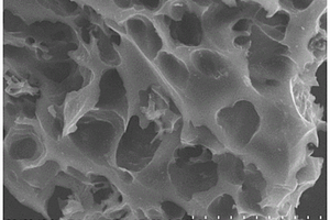 基于瓜皮的多孔碳材料及其制备方法与应用