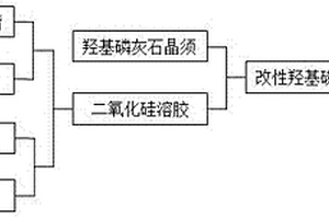 改性羟基磷灰石晶须的制备方法