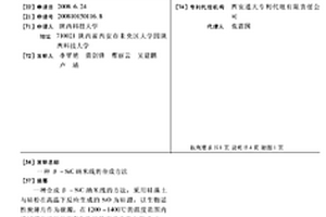 Β-SIC纳米线的合成方法