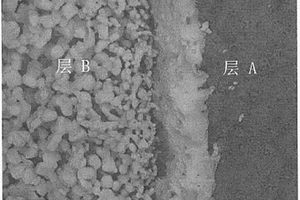 双层负温度系数热敏电阻及其制备方法