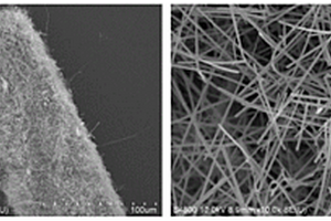 利用混杂硅源制备碳化硅纳米晶须的方法