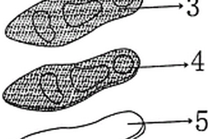 新型材料保健鞋加工工艺