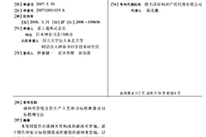 碳纳米管链及其生产工艺和目标检测器及目标检测方法