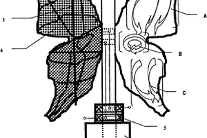 蝴蝶翼型风光能源复合型发电装置及其用途