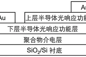 具有选择性探测功能的自供电人造光电突触及其制备方法