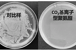 二氧化碳基离子型抗菌聚氨酯及其制备方法和应用