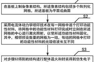 仿生电子眼及其制备方法