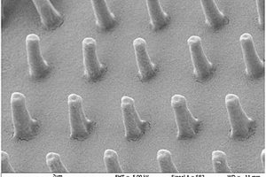 3D生物蛋白及其制备方法和应用