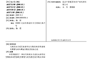 天然高分子或其水溶性衍生物的两亲性接枝共聚物与纳米碘复合物及其制备方法