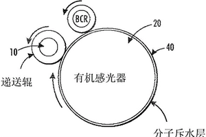 稳定化聚合物来控制功能材料从递送构件中的被动渗出