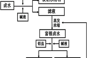 从卤水中提取镁、锂同时生产水滑石的工艺方法