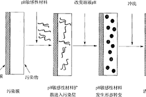 反渗透/纳滤膜污染的强化清洗方法