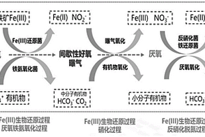 间歇性曝气式地下水氨氮、有机污染生物的修复方法