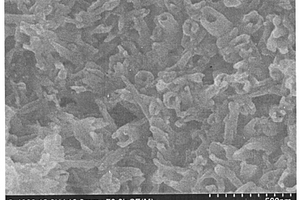 微波辐射法制备钼酸镧纳米管材料的方法