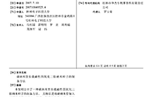 碳纳米管负载磁性四氧化三铁纳米粒子的制备方法