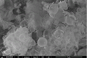 蛋壳状二氧化硅纳米材料的无模板合成方法