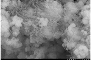 水热条件下相分离法获得Na0.5Bi0.5TiO3及Na-Ti-O纳米线的方法
