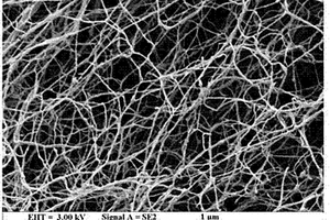 抗菌性生物活性玻璃纳米纤维支架及其制备方法