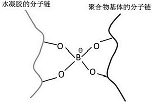 聚合物功能材料及其制备方法、应用