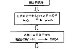 肿瘤磁致热疗用纳米发热剂的制备方法