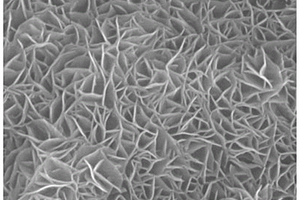 镍基层状双金属氢氧化物纳米片及其室温快速绿色制备方法和应用